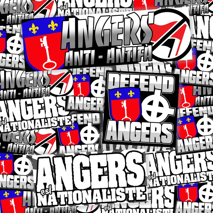 Pack de 100 sticks ANGERS 1