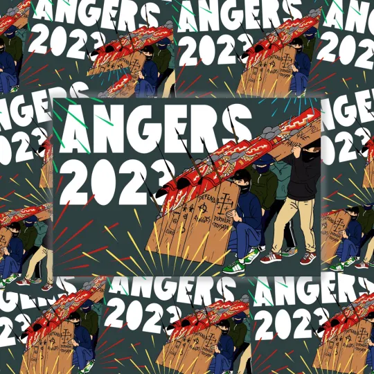 Pack de 100 sticks ANGERS 3
