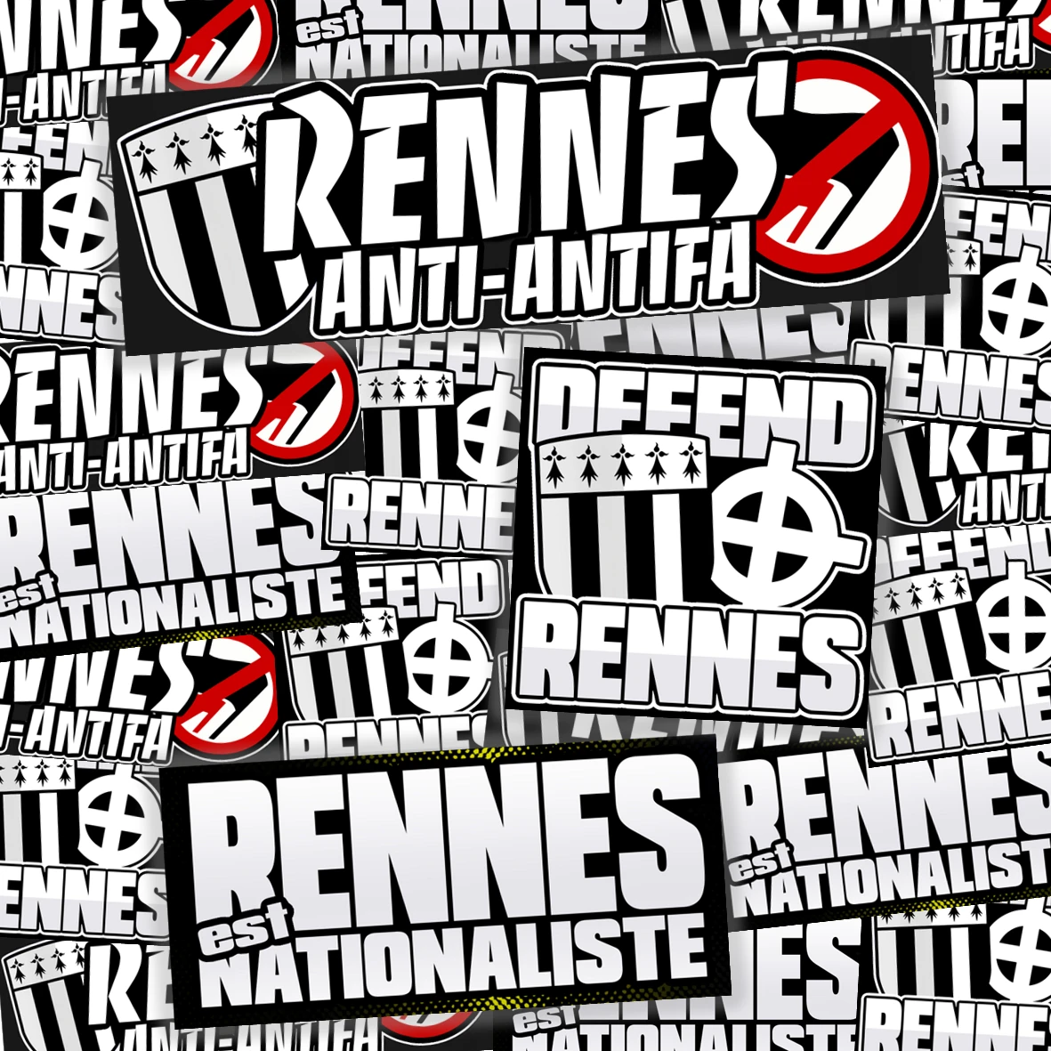 Pack de 100 sticks RENNES