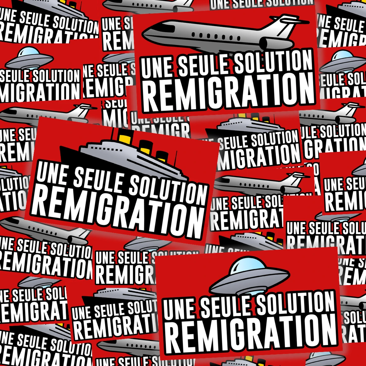Pack de 100 sticks Remigration