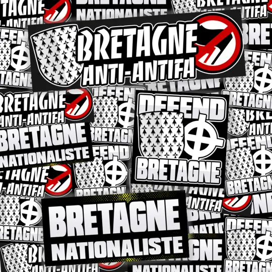 Pack de 100 sticks BRETAGNE
