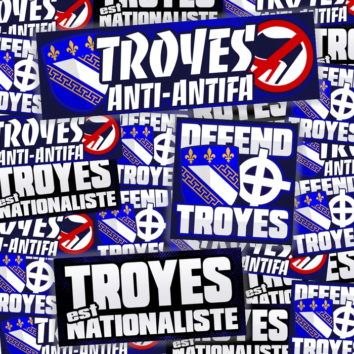 Pack de 100 sticks TROYES