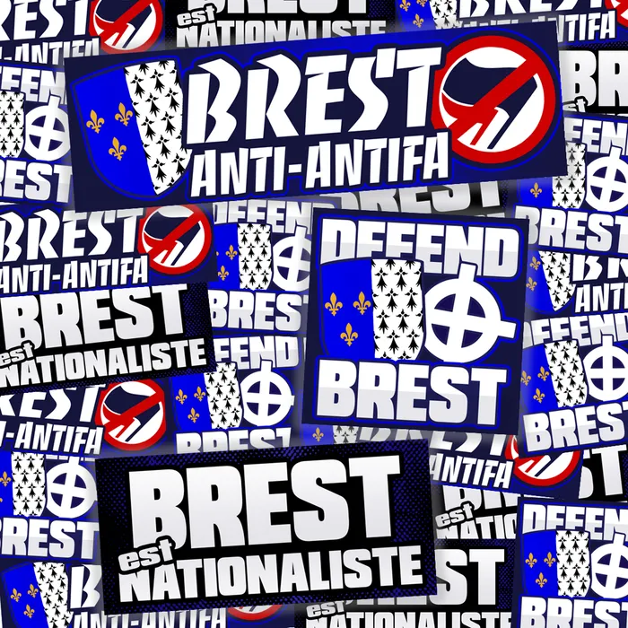 Pack de 100 sticks BREST