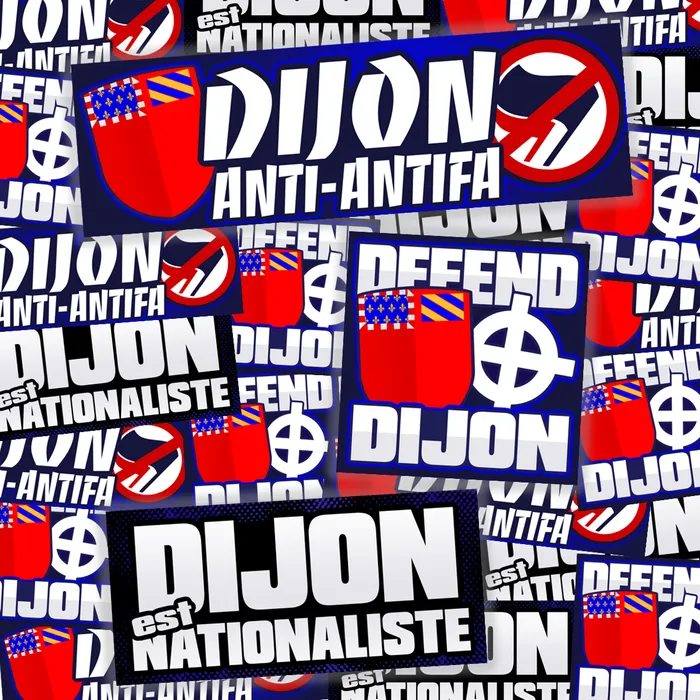 Pack de 100 sticks DIJON
