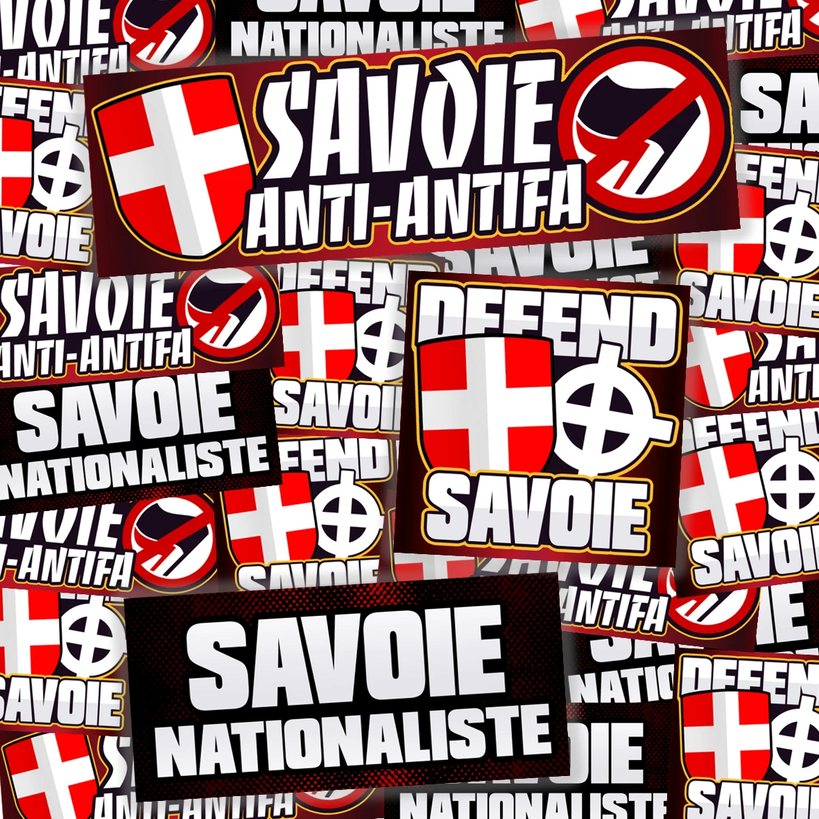 Pack de 100 sticks SAVOIE