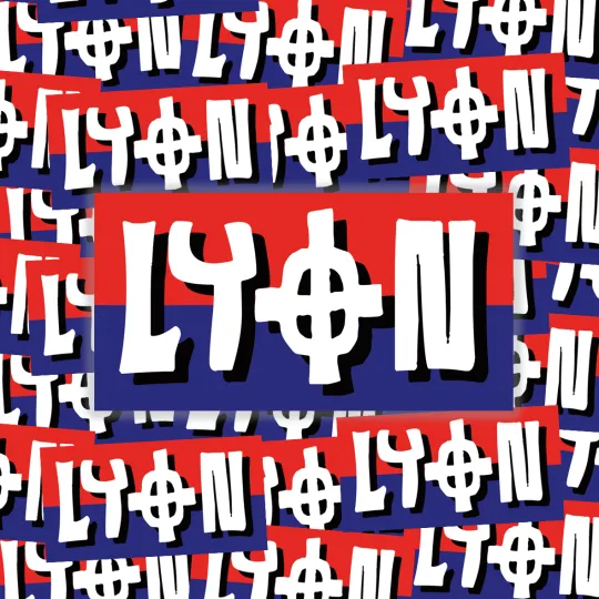Pack de 100 sticks LYON 3