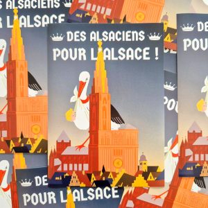 Pack de 100 Sticks Alsace