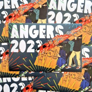 Pack de 100 Sticks Angers