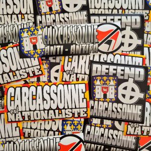 Pack de 100 Sticks Carcassonne