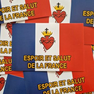 Pack de 100 sticks ESF