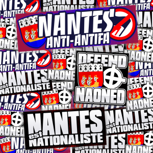 Pack de 100 Sticks Nantes