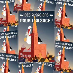 Pack de 100 Sticks Alsace