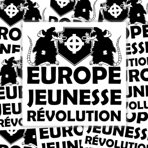 Pack de 100 sticks EJR