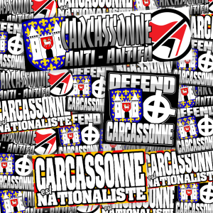 Pack de 100 Sticks Carcassonne